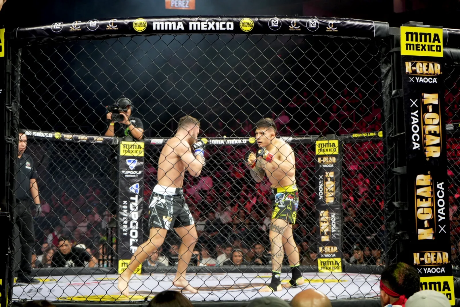MMA México
