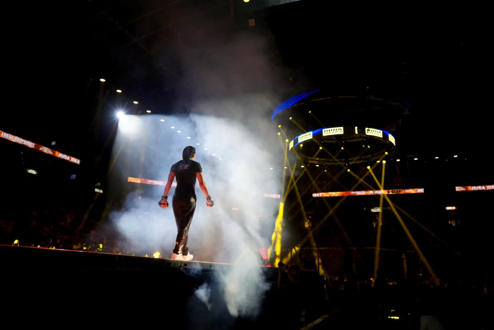 MMA México